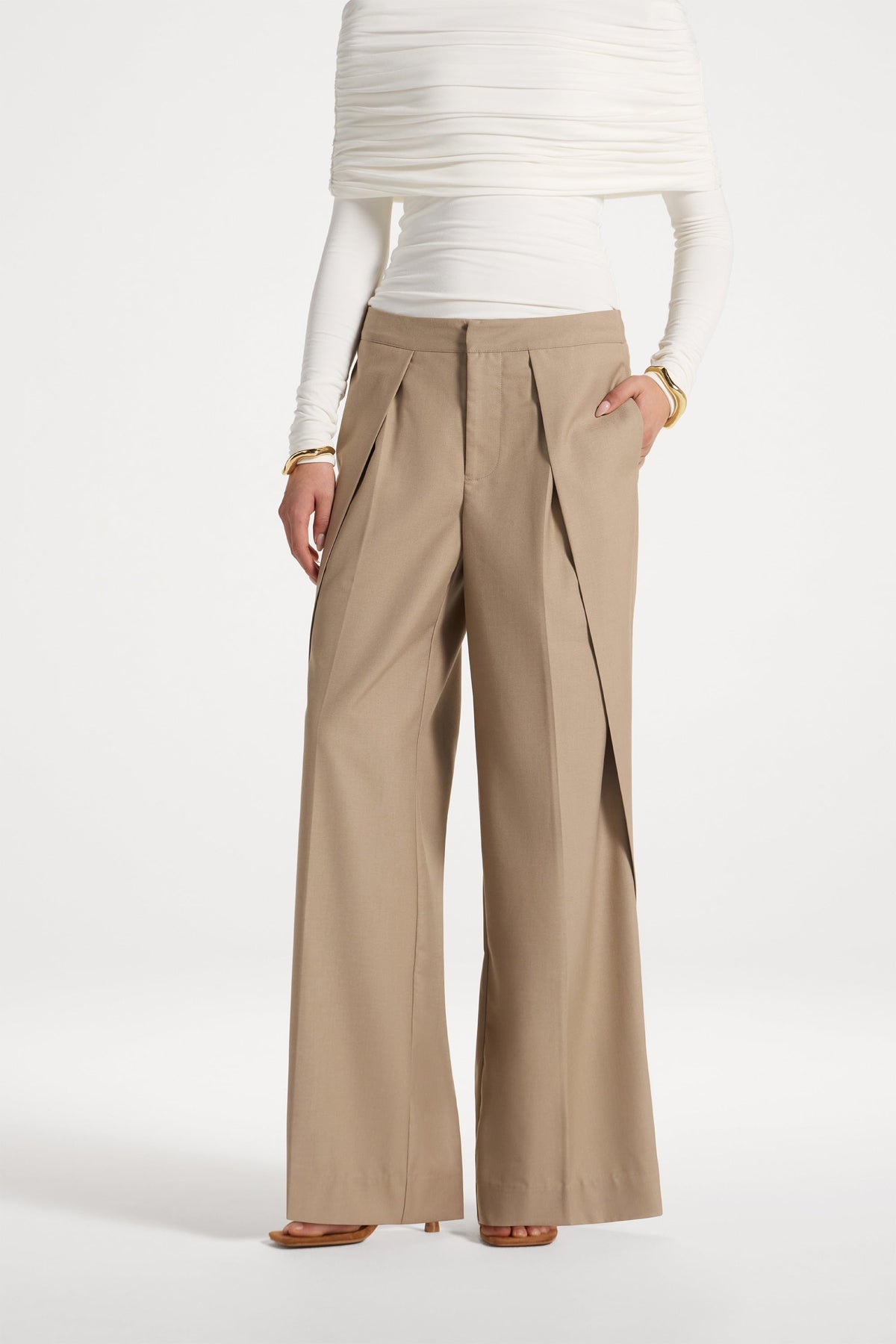Pleat Front Wide Leg Pants - Warm Taupe